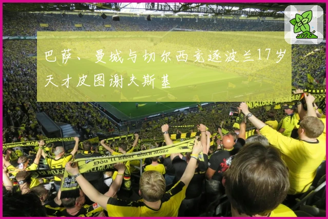 巴萨、曼城与切尔西竞逐波兰17岁天才皮图谢夫斯基