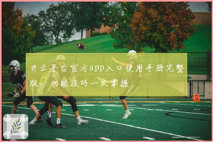 开云平台官方app入口使用手册完整版，功能技巧一文掌握