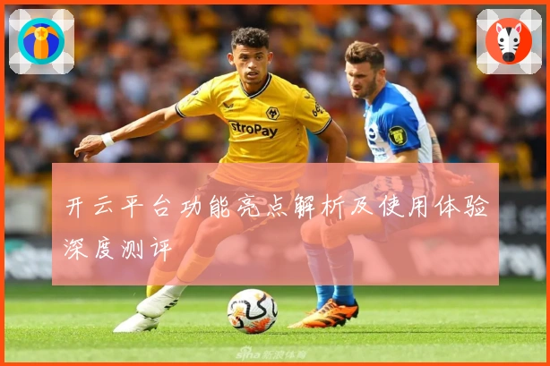 开云平台功能亮点解析及使用体验深度测评