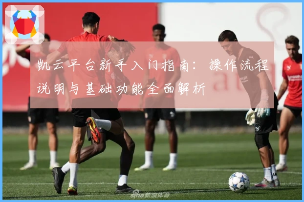 凯云平台新手入门指南：操作流程说明与基础功能全面解析