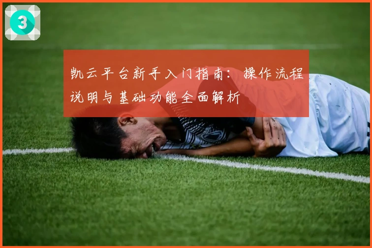 凯云平台新手入门指南：操作流程说明与基础功能全面解析